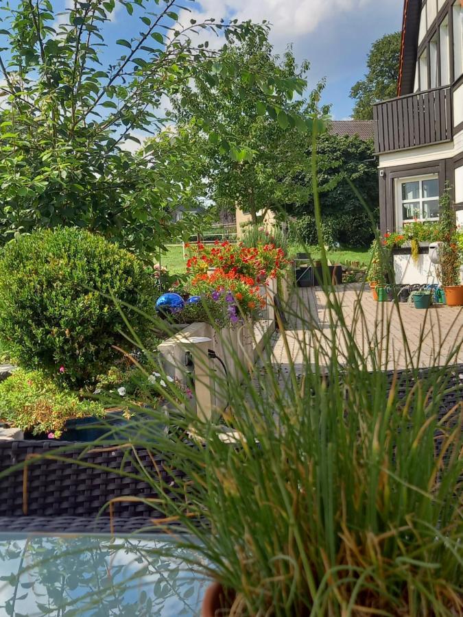 Landidylle Mit Garten, Whirlpool Und Klima Reken エクステリア 写真